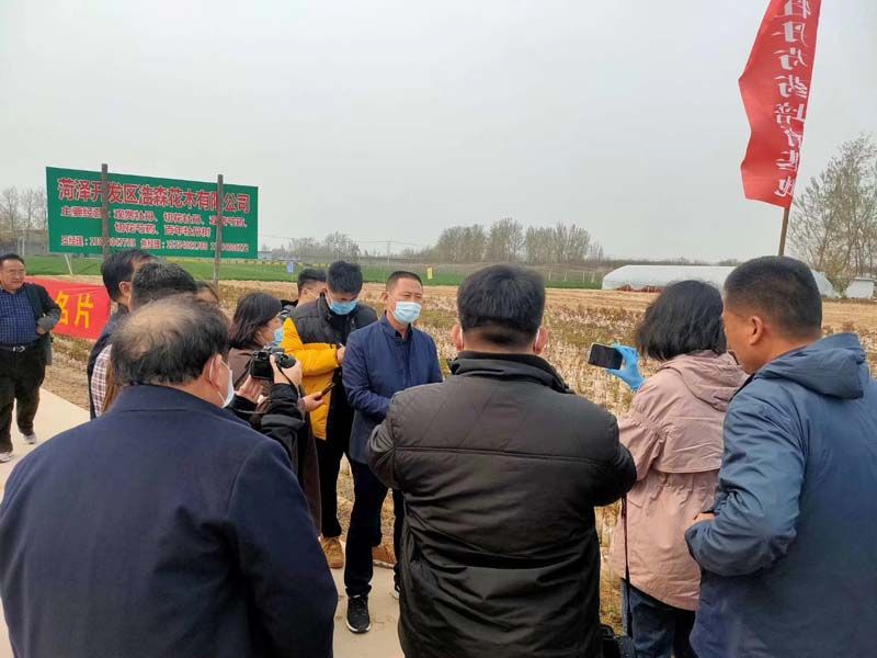 市牡丹產(chǎn)業(yè)中心、市宣傳部的領導及各大媒體來公司基地考察指導工作