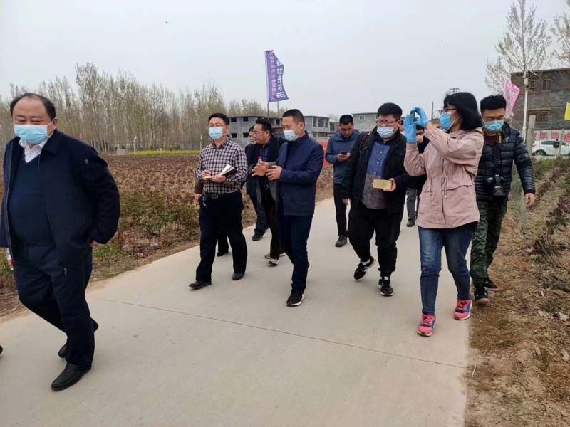 市牡丹產(chǎn)業(yè)中心、市宣傳部的領導及各大媒體來公司基地考察指導工作